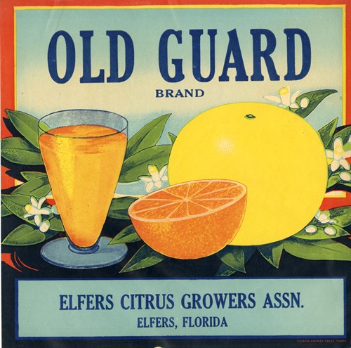 Old Guard