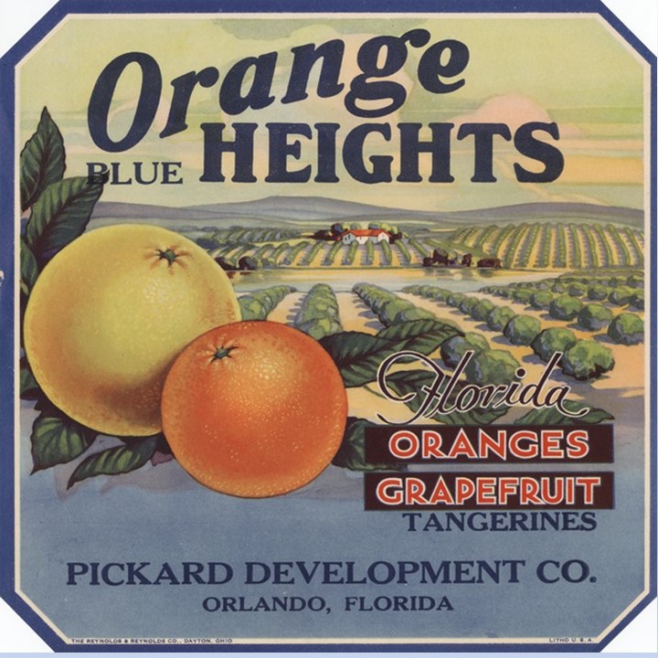 Orange Heights