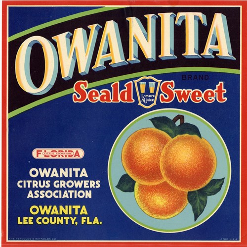 Owanita