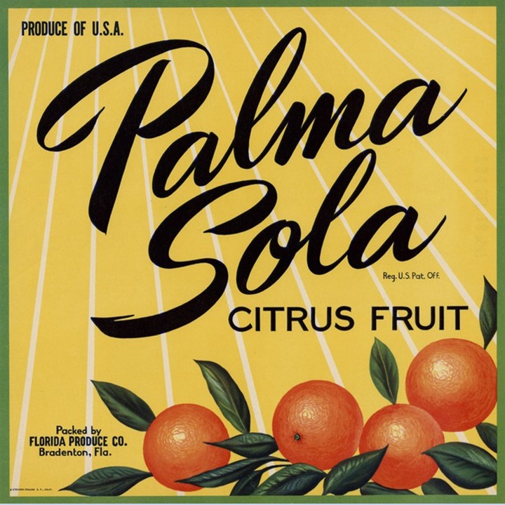 Palma Sola Palma Sola