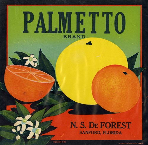 Palmetto Palmetto