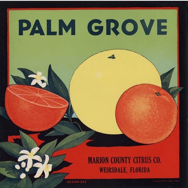 Palm Grove Palm Grove