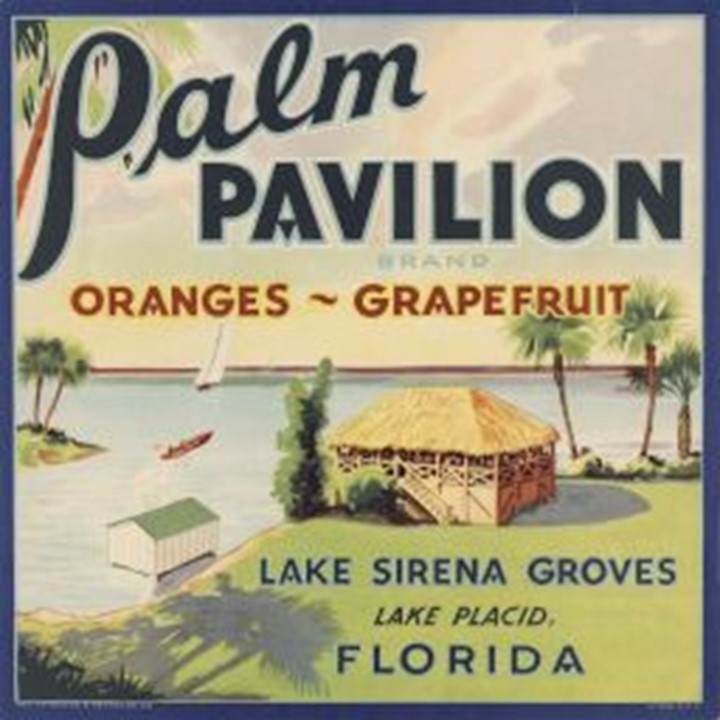 Palm Pavilion Palm Pavilion