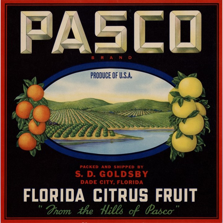 Pasco Pasco