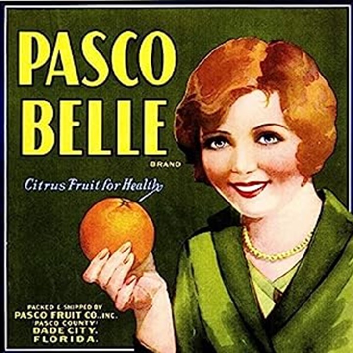 Pasco Belle Pasco Belle