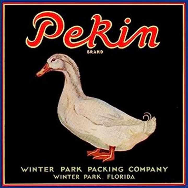 Pekin Pekin