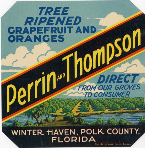 Perrin and Thompson Perrin and Thompson
