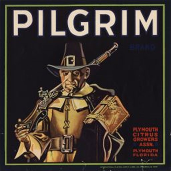 Pilgrim Pilgrim
