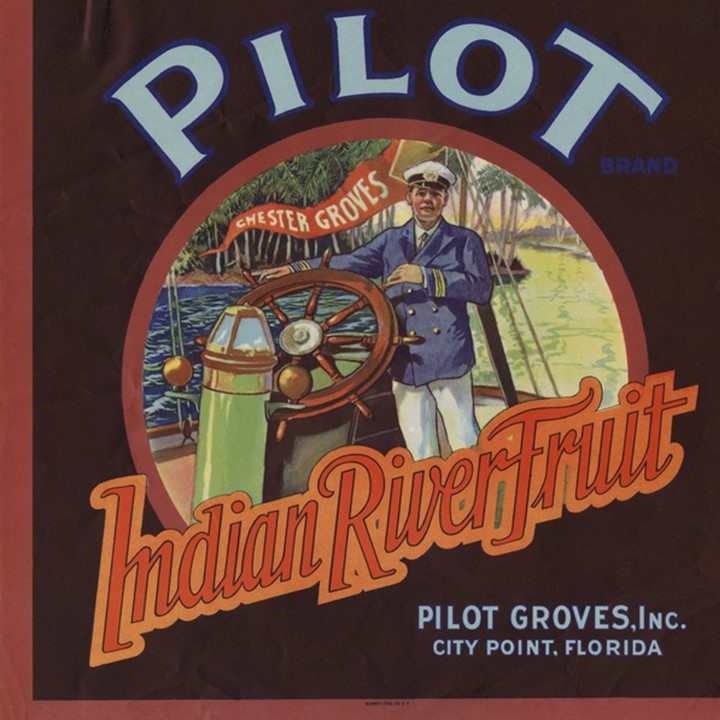 Pilot Pilot