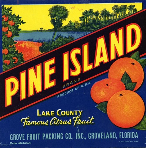 Pine Island 2 Pine Island 2
