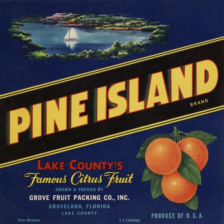 Pine Island Pine Island