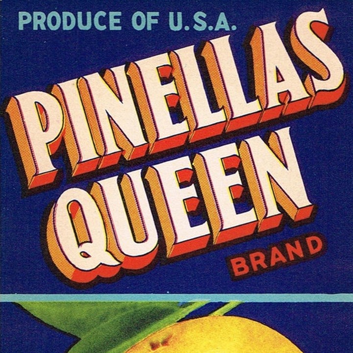 Pinellas Queen Pinellas Queen