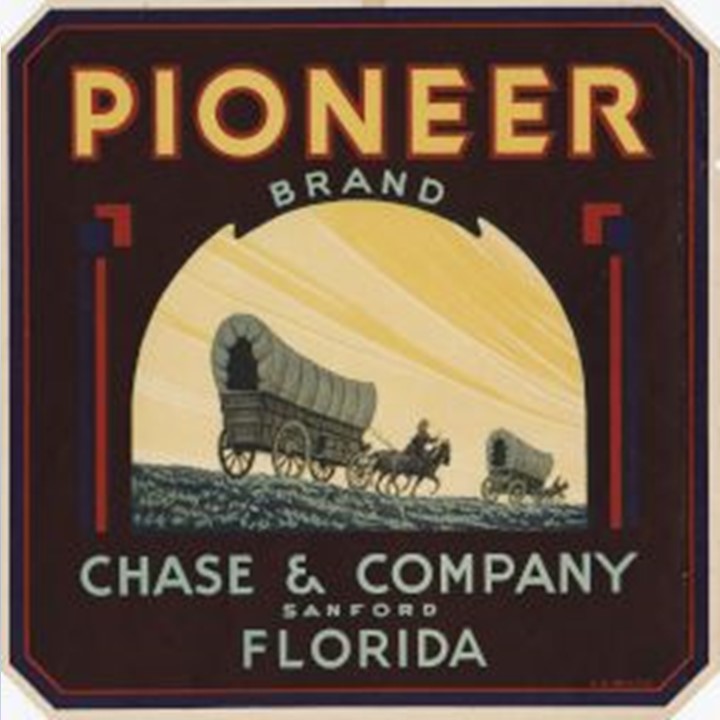 Pioneer Pioneer
