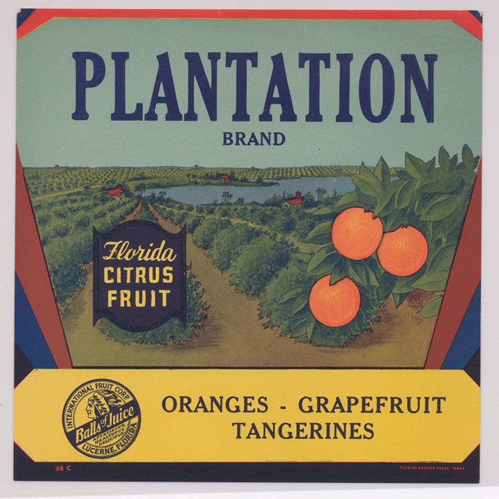 Plantation Plantation