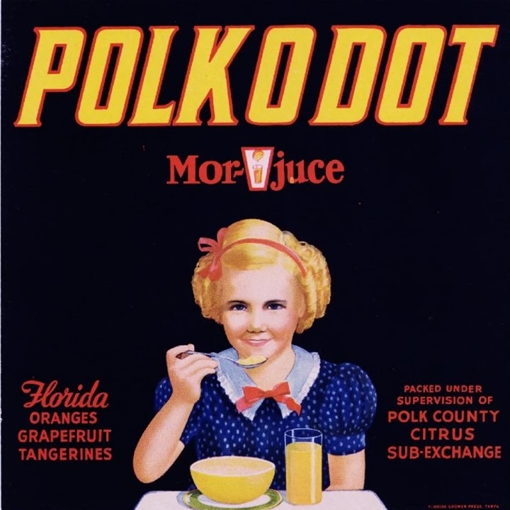Polkodot Polkodot