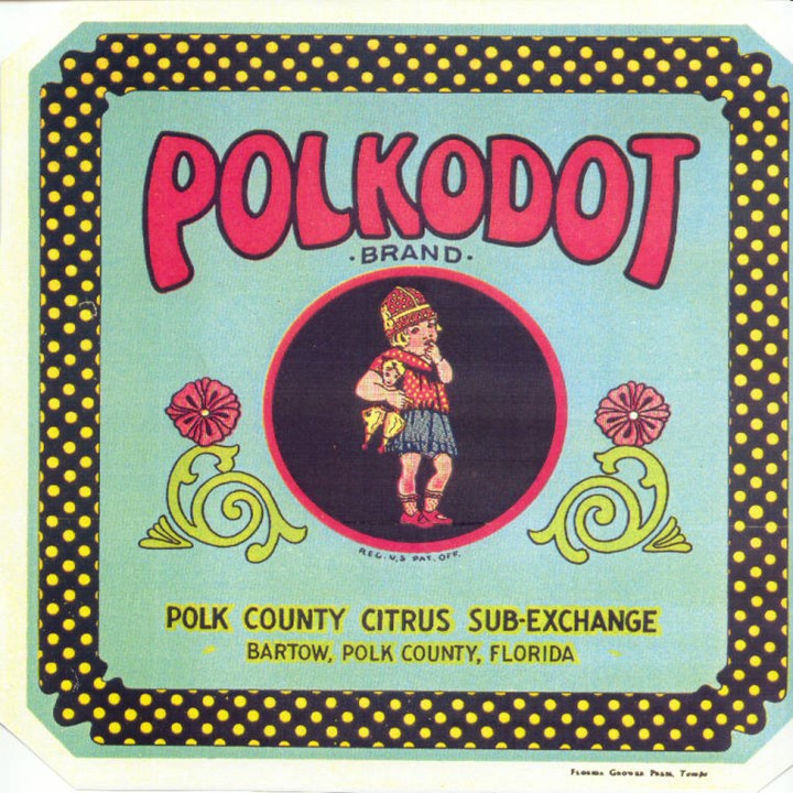 Polkodot2 Polkodot2