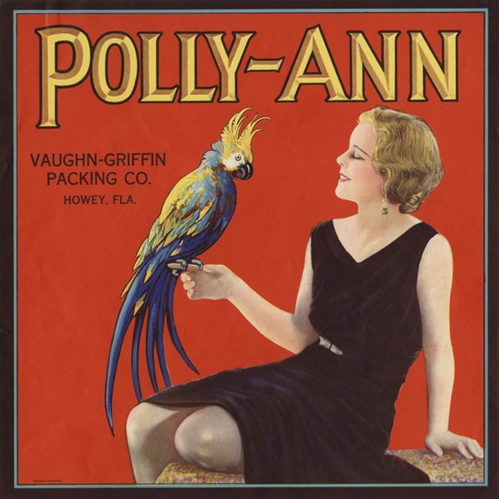 Polly Ann Polly Ann