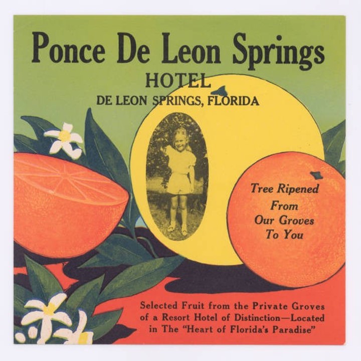 Ponce de Leon Springs Ponce de Leon Springs