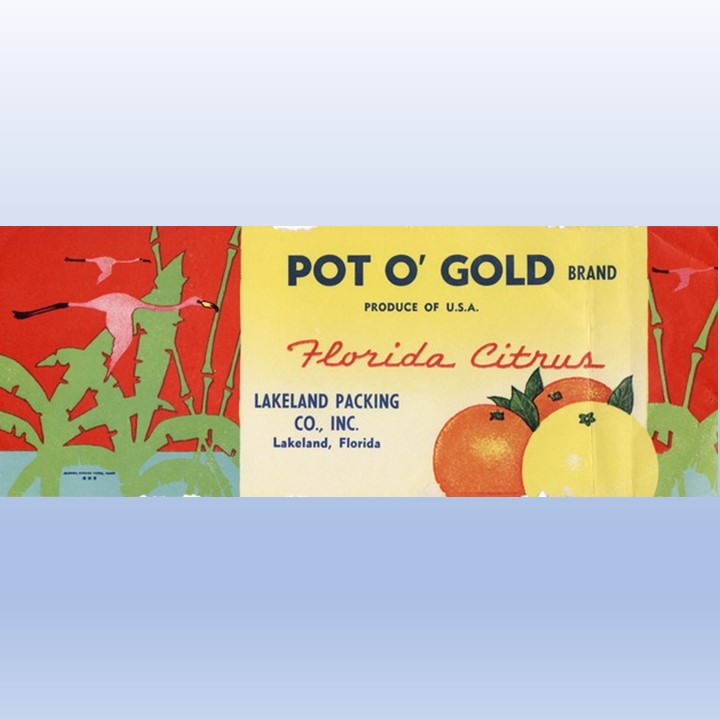 Pot o Gold Pot o Gold