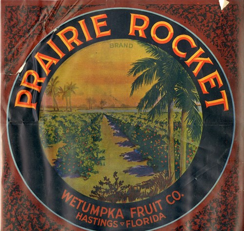 Prairie Rocket Prairie Rocket