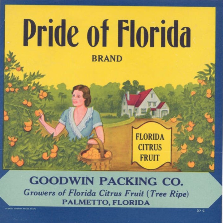 Pride of Florida Pride of Florida