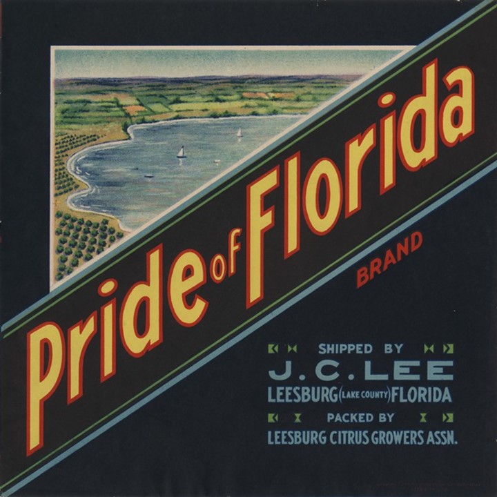 Pride of Florida2 Pride of Florida2