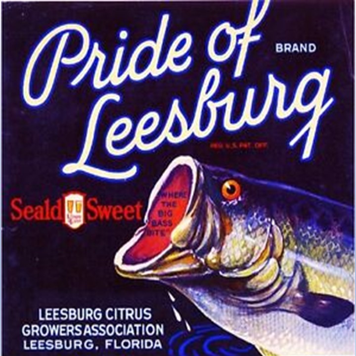 Pride of Leesburg Pride of Leesburg