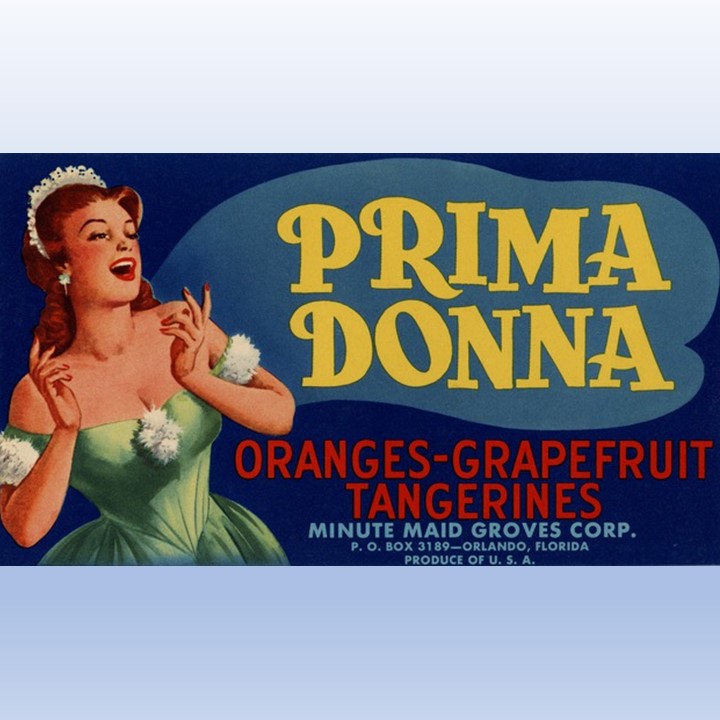 Primadonna Primadonna