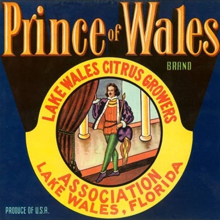 Prince of Wales Prince of Wales