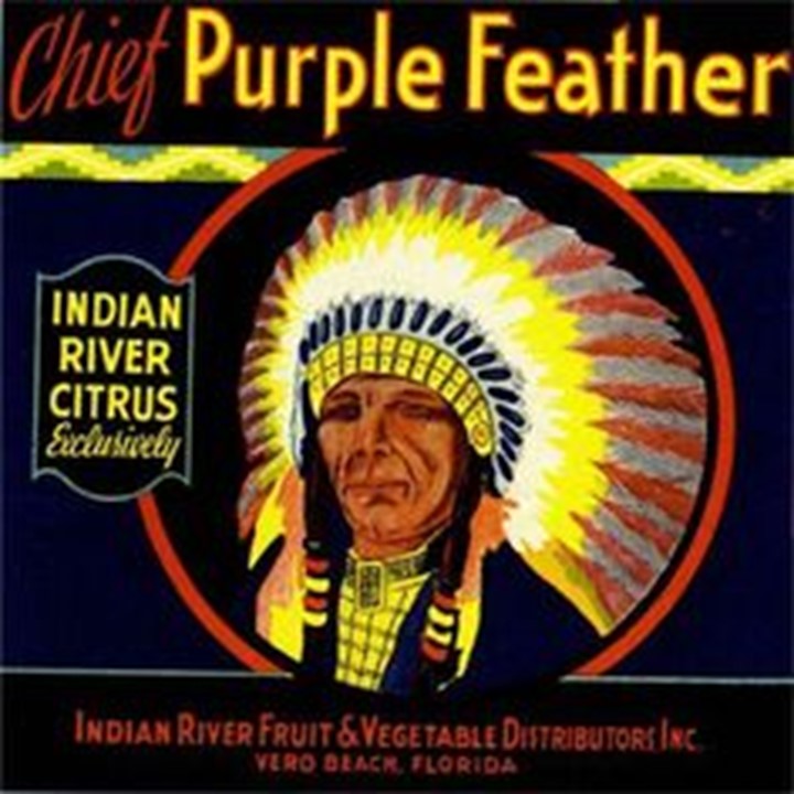 Purple Feather Purple Feather