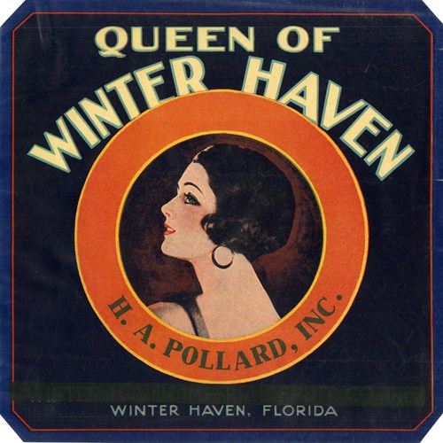 Queen of Winter Haven