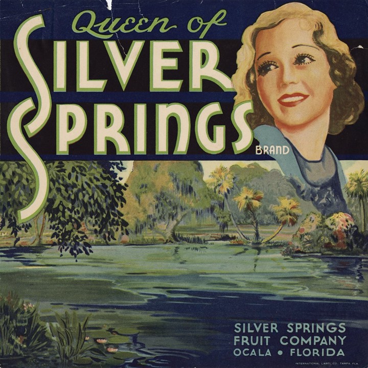 Queen of Silver Springs Queen of Silver Springs