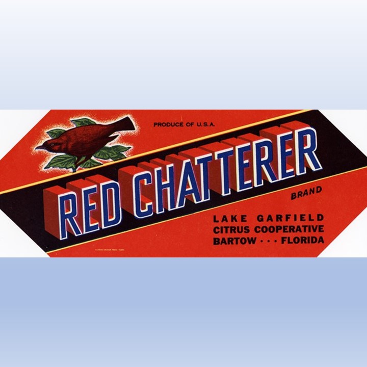 Red Chatterer