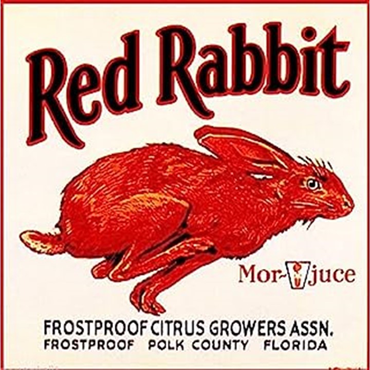 Red Rabbit