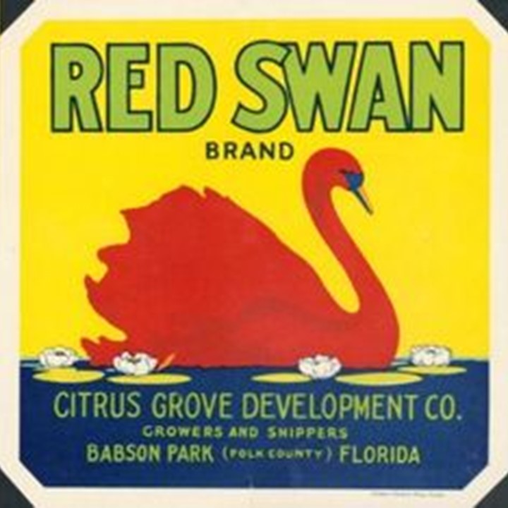 Red Swan