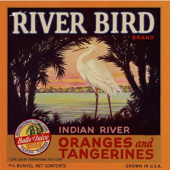 River Bird