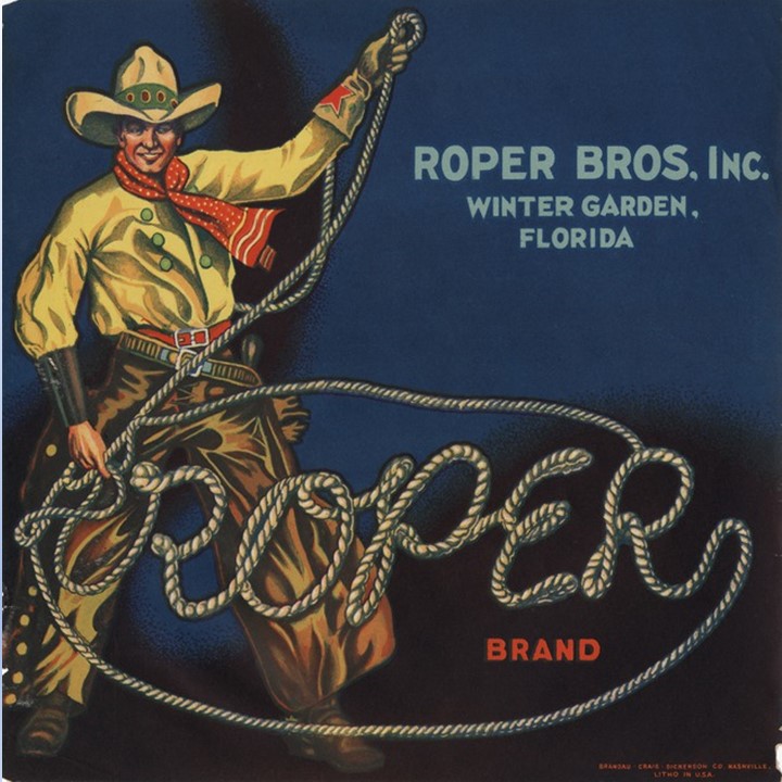 Roper