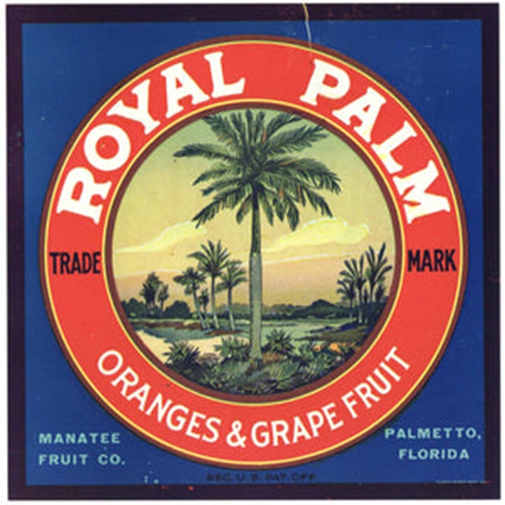 Royal Palm