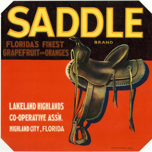 Saddle