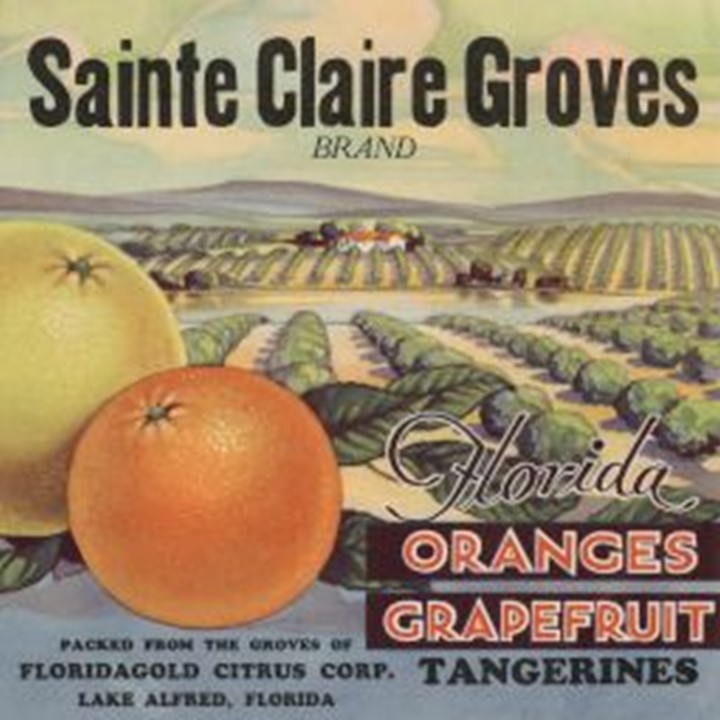 Sainte Claire Groves