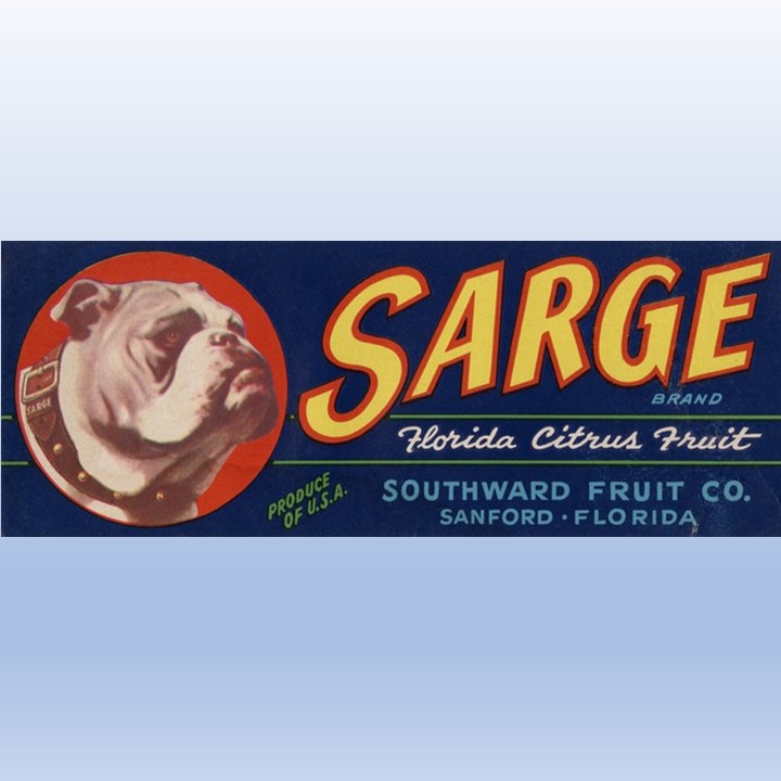 Sarge
