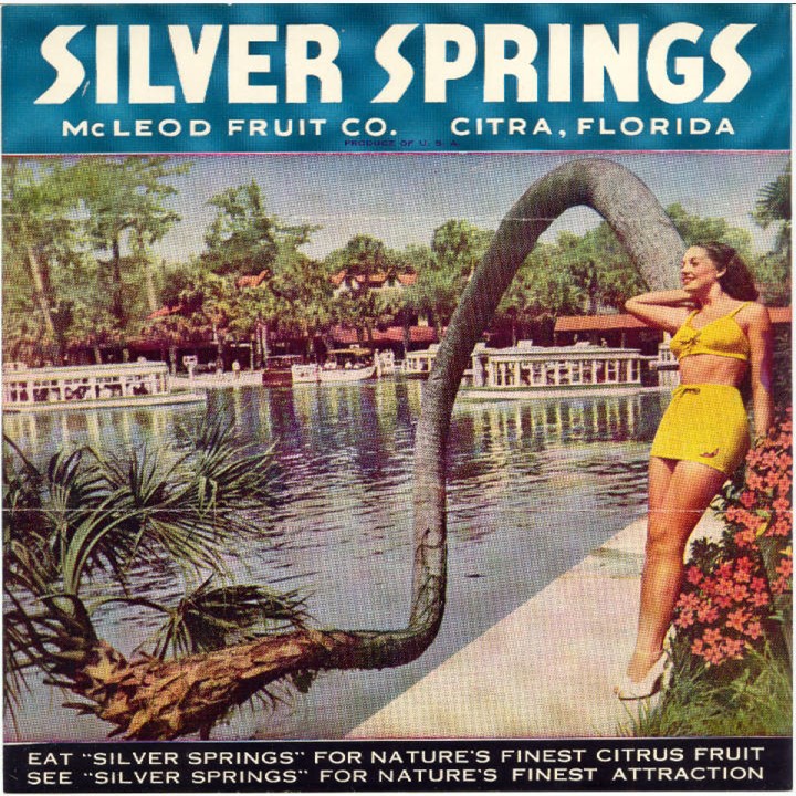 Silver Springs