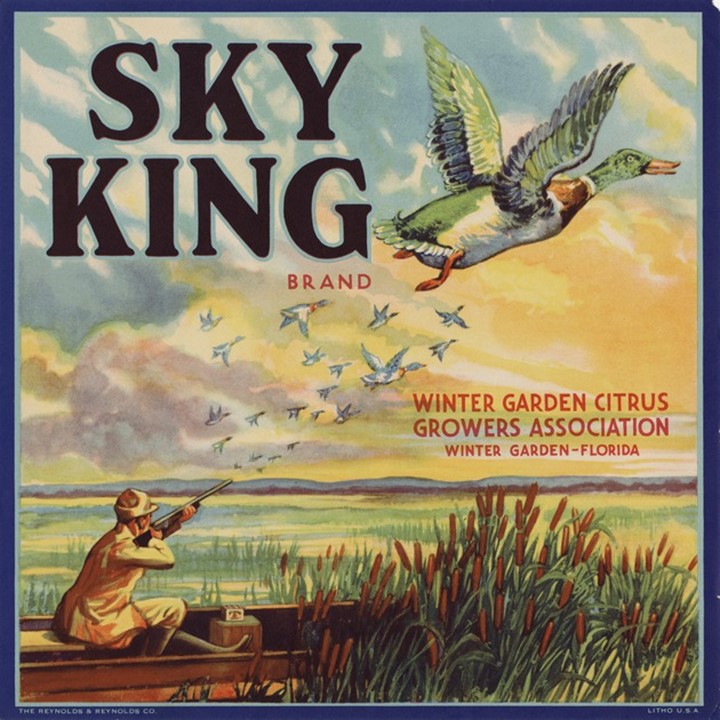 Sky King