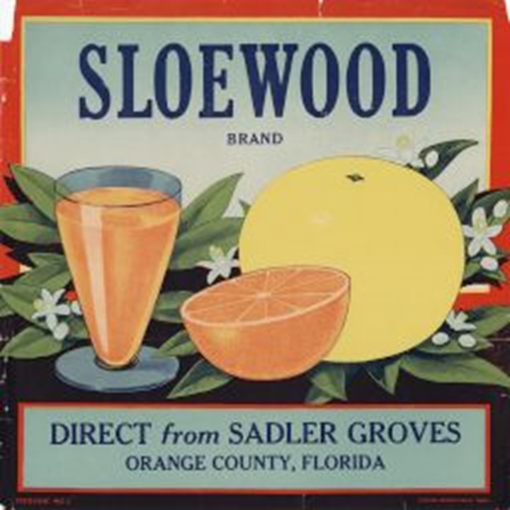 Sloewood