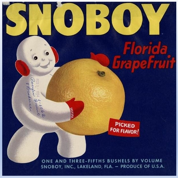 Snoboy