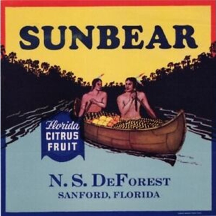 Sun Bear