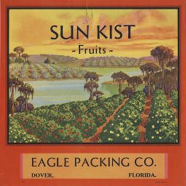 Sun Kist