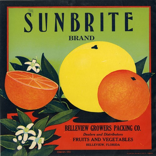 Sun Brite