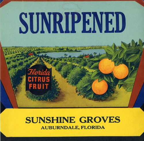 Sun Ripened