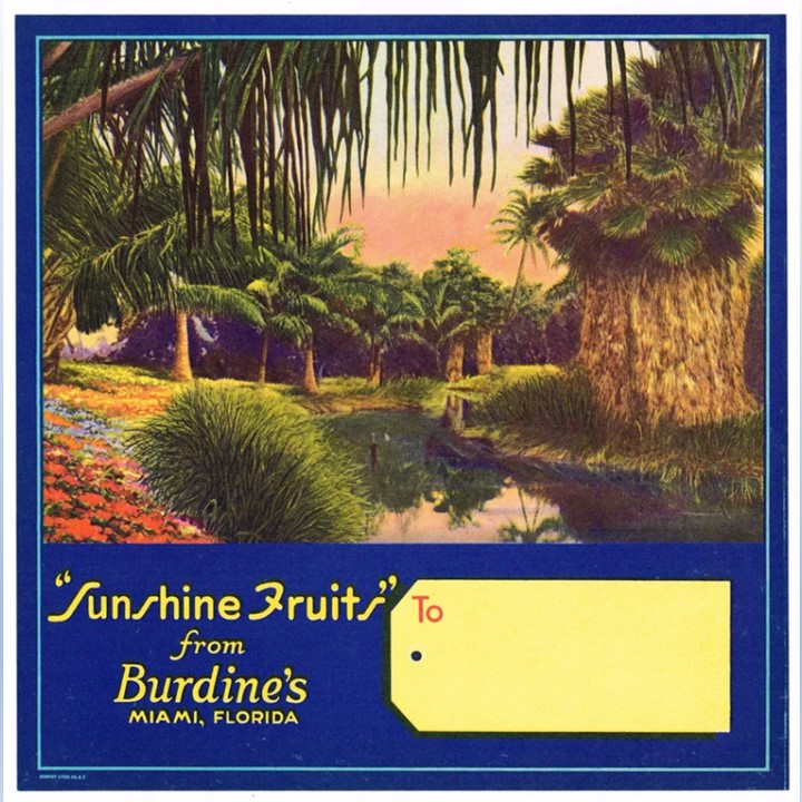 Sunshine Fruits